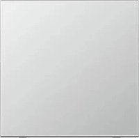 JUNG AL2990, Jung AL2990 Wippe f. Schalter/Taster (lackiertes Aluminium) Aluminium