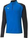 PUMA Herren Sweatshirt teamLIGA 1/4 Zip Top