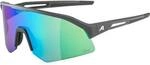 ALPINA Herren Brille SONIC HR Q-LITE
