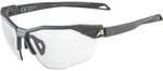 ALPINA Sportbrillen TWIST SIX HR V