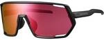 SHIMANO Fahrrad-Brille TECHNIUM 2, Matt black/ Ridescape Road