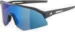 ALPINA Herren Brille SONIC HR Q-LITE