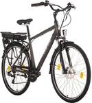HOLLANDIA E-Citybike Herren 28'' Hollandia Zagon Grau 6&nbsp;G&auml;nge
