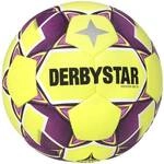 DERBYSTAR Ball Indoor Beta v24