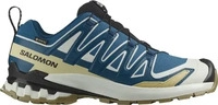 Salomon L47817400, SALOMON Herren Trailrunningschuhe SHOES XA PRO 3D V9 GTX Dark