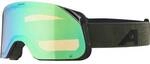 ALPINA Herren Brille BLACKCOMB Q