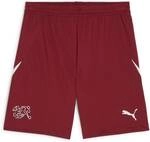 PUMA Herren Shorts SFV Shorts Replica