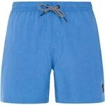 PROTEST Herren Badeshorts DAVEY beachshort