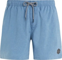 Protest 2711200, PROTEST Herren Badeshorts DAVEY beachshort Blau male