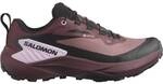 SALOMON Damen Trailrunningschuhe SHOES GENESIS GTX W Rose T/Black/Orchib