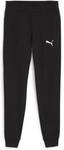 PUMA Herren Sporthose teamGOAL Casuals Pants