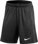 NIKE Herren Shorts Dri-FIT Academy Pro