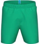 ARENA Herren Badeshorts FUNDAMENTALS LOGO BOXER