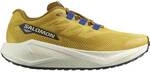 SALOMON Herren Laufschuhe SHOES AERO BLAZE 3 GRVL Spicym/Vanila/Na