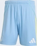 Adidas JJ4325, ADIDAS Herren Teamhose Juventus Turin 25/26 Ausw&auml;rts ASHBLU male