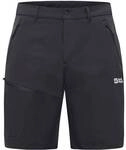 JACK WOLFSKIN Herren Shorts PICO TRAIL SHORTS M