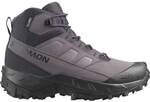SALOMON Damen Stiefel SHOES CROSSTRAK WP W 9 Iron/Excali/Phant