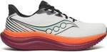 SAUCONY Herren Laufschuhe TRIUMPH 23