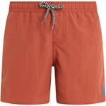 PROTEST Kinder CULTURE Beachshort