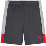 PUMA Herren Shorts IndividualLIGA Training Shorts