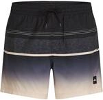O'NEILL Herren Badeshorts GRADIENT 15'' SWIMSHORTS