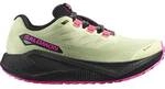 SALOMON Damen Laufschuhe SHOES AERO BLAZE 3 GRVL GTX W Buttrf/Bla