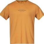BERGANS Bergans Herren T-Shirt GRAPHIC WOOL M TEE