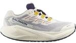 SALOMON Damen Laufschuhe SHOES AERO BLAZE 3 GRVL GTX W Vanila/Ast