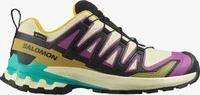 Salomon L47882200, SALOMON Damen Trailrunningschuhe SHOES XA PRO 3D V9 GTX W
