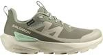 SALOMON Damen Multifunktionsschuhe SHOES ELIXIR ACTIV GTX W Dlicgr/Tea/Lich