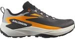 SALOMON Herren Trailrunningschuhe SHOES GENESIS GTX Black/Turmeric/Alloy