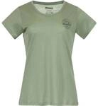 BERGANS Bergans Damen T-Shirt GRAPHIC WOOL W TEE