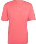 ADIDAS Herren T-Shirt Terrex Xperior CLIMACOOL+