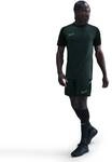 NIKE Herren Shorts Nike Academy Men's Dri-FIT Soccer S