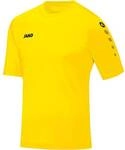 JAKO Herren Trikot Team KA