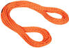 MAMMUT 8.0 Alpine Dry Rope, Dry Standard, safety orange-boa, 70