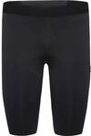 GORE WEAR GORE&reg; Wear Impulse Kurze Tights Herren