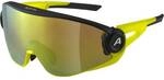 ALPINA Herren Brille 5W1NG Q