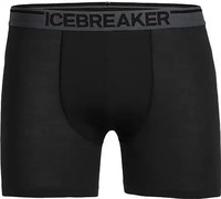 Icebreaker 103029, ICEBREAKER Herren Funktionsunterhose / Unterhose "Men's Anatomica
