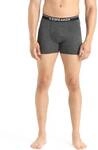 ICEBREAKER Herren Funktionsunterhose / Unterhose "Men&acute;s Anatomica Boxers"