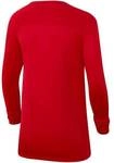 NIKE Kinder Trikot Nike Dri-FIT Park First Layer Kids'