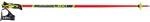 LEKI Herren Alpin-Skistock WCR Lite SL 3D