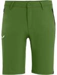 SALEWA Herren Shorts *TALVENO DST M SHORTS