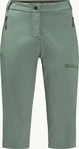 Jack Wolfskin 1503722, JACK WOLFSKIN Damen Shorts ACTIVATE LIGHT 3/4 PANTS picnic