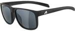 ALPINA Herren Brille NACAN III