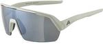 ALPINA Herren Brille TURBO HR