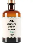 Flaschenpost Gib deinem Leben einen Gin 41% vol. 0,5 l