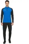 PUMA Teamliga 1/4 Zip Top Herren Sweatshirt nachhaltiges Trainings-Shirt mit dryCELL