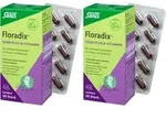 Salus Floradix Eisen plus B-Vitamine Doppelpack 2x40 St Kapseln