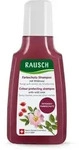 Rausch Farbschutz-Shampoo mit Wildrose 40 ml Shampoo
